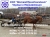 Уголок ст.09Г2С/ ст.3 ГОСТ 8509-93 ГОСТ 19281-89 ГОСТ 535-88 ГОСТ 535-2006